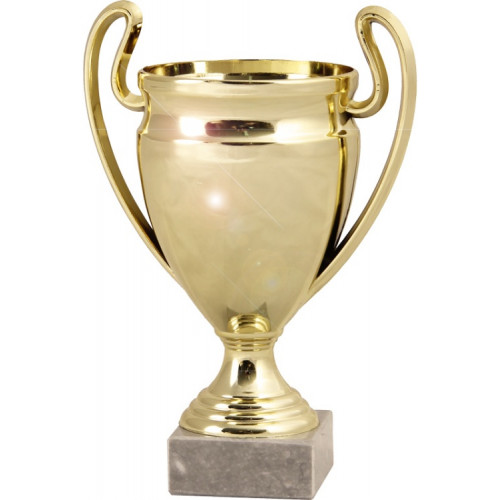 Кубок 9603A (19см)