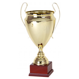 Кубок 2520A (59 см) D-240